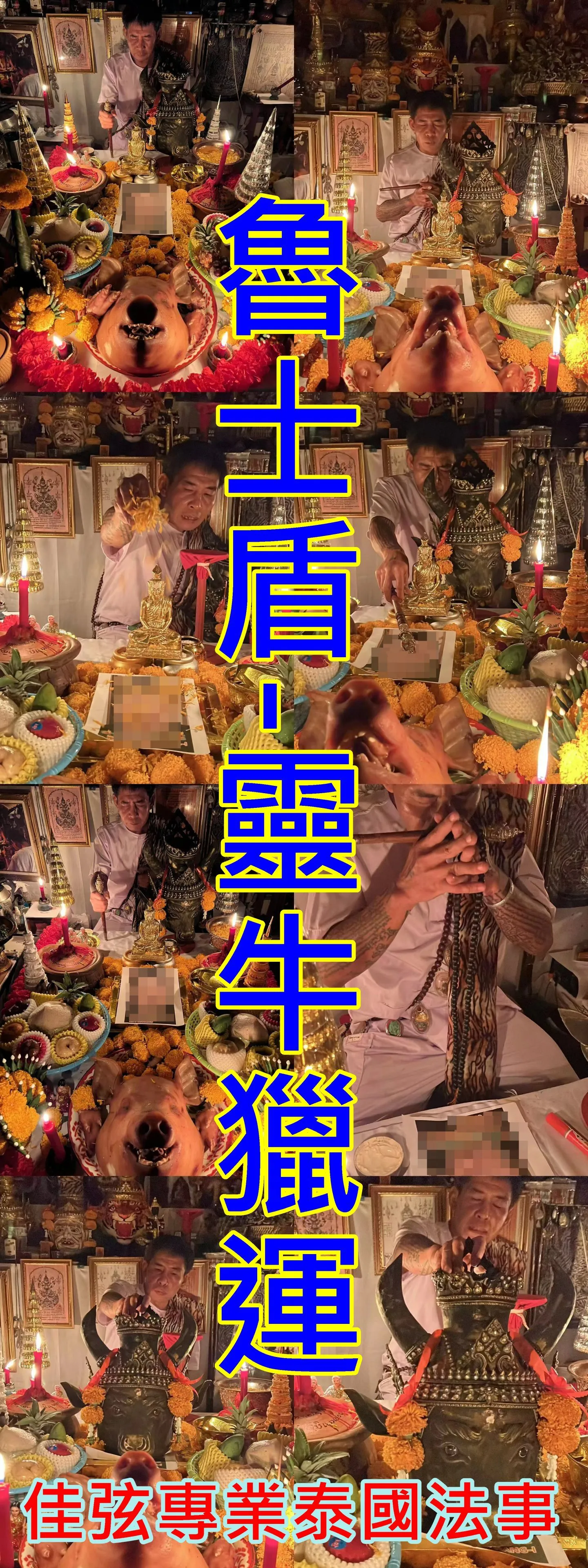 魯士盾-靈牛獵運-10000